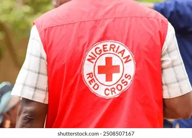 Nigeria becoming global humanitarian hub – Red Cross