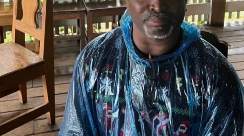 Nigerian father who kidnapped own son  mistakenly released from UK prison