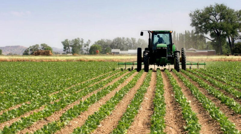 Why agriculture must wear a new face — Xtralarge boss