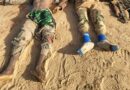 Again, scores of Boko Haram/ISWAP terrorists killed in foiled attack