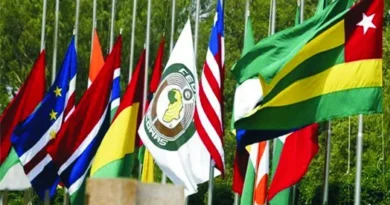ECOWAS order investigation into escalating terrorism, S/Africa’s Xenophobic attacks