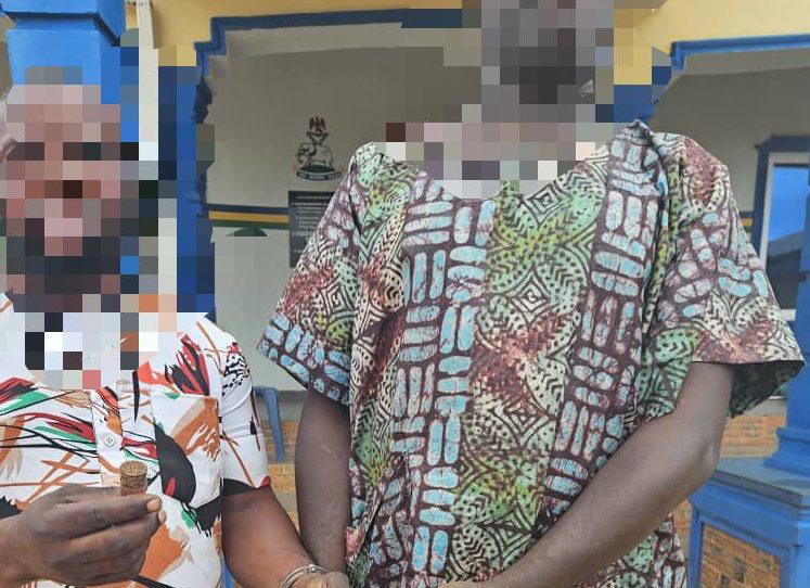 Police arrest two in Ogun over illegal firearm possession