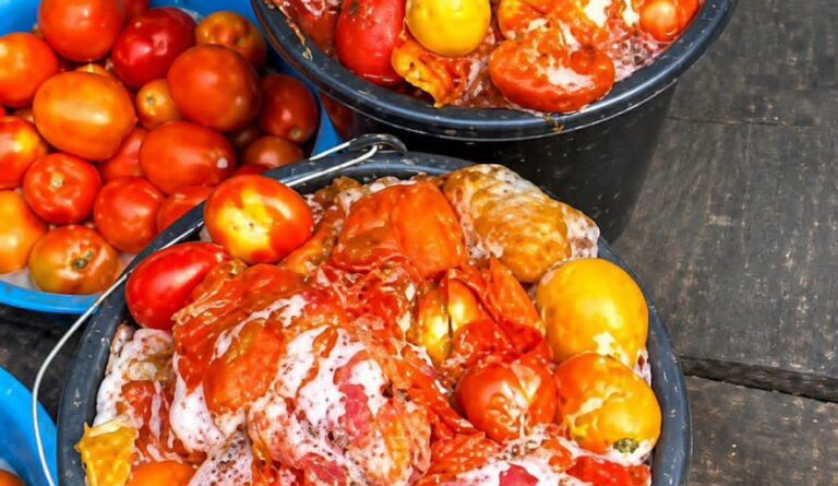 Aproko doctor warns Nigerians against consumption of rotten tomatoes