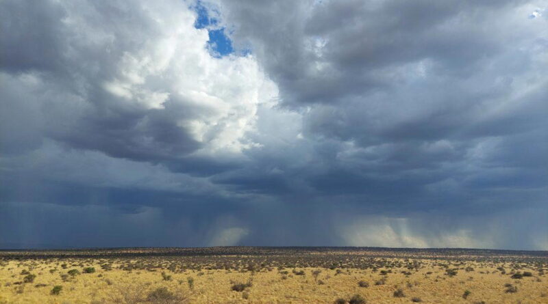 9 African countries where rainfall is scarce