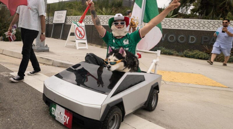 Mexican fans rally behind Iran as ‘our second team’ at World Cup