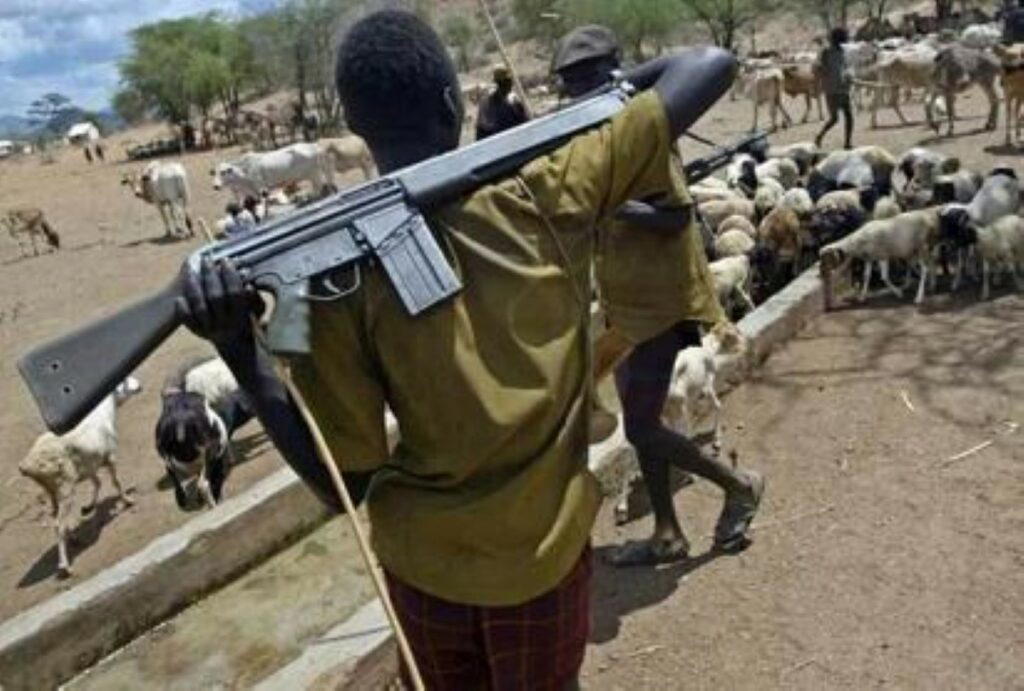 Nasarawa attack