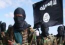 Boko Haram suffocates 12-hour-old baby in Chibok