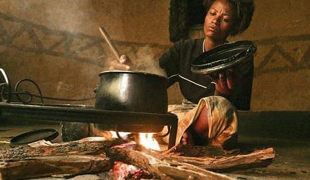 Economic hardship: Nigerians revert to firewood as cooking gas, kerosene prices surge 