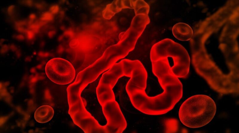 Ebola