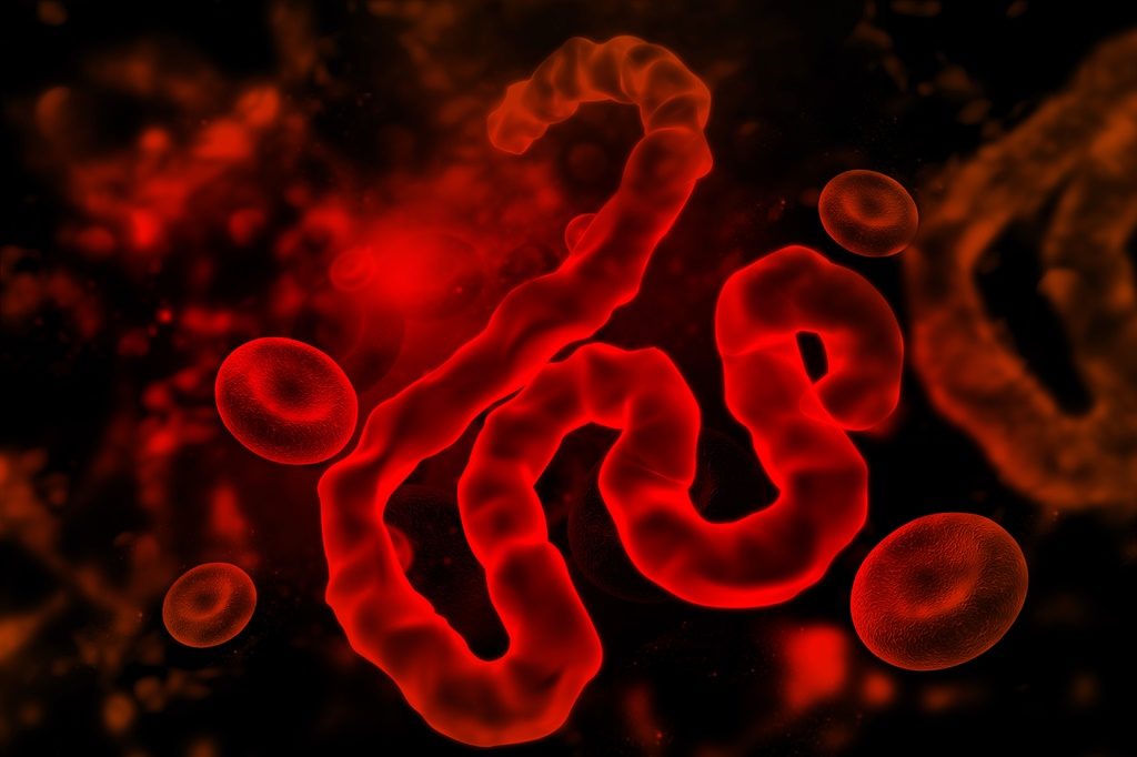Ebola