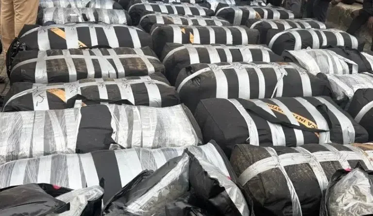Apapa Customs intercepts ₦12.7bn Cannabis Sativa, expired drugs