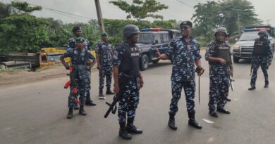 State police may suffer funding crisis, abuse by governors — Ex-Police Commissioner