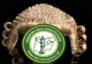 2026 NBA Elections: 35 candidates cleared to contest as 3 SANs eye presidency