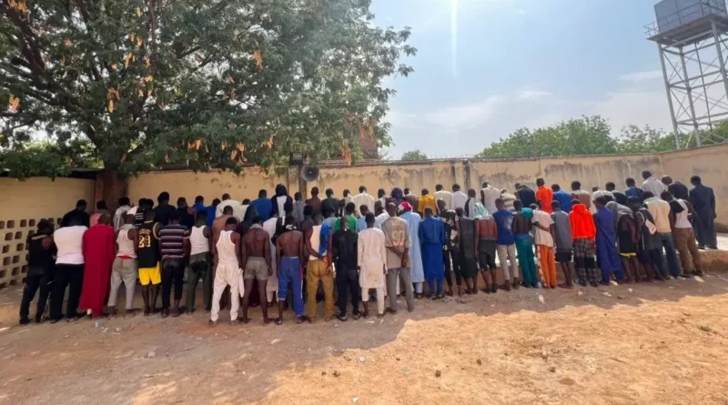 NDLEA raids Kano hotspots, arrests 73, seizes ‘suck and die’, others