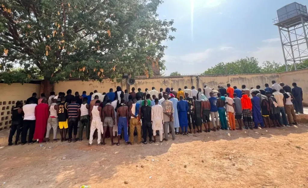NDLEA raids Kano hotspots, arrests 73, seizes ‘suck and die’, others