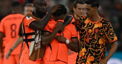 Dutch football chiefs condemn online racism after World Cup exit