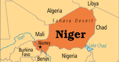 Niger airport attack killed 11 soldiers, two civilians – Defence ministry