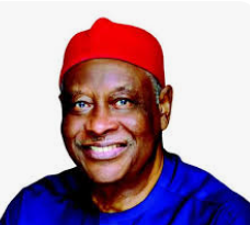 Democracy Day: Why I rejected Tinubu’s national honour – Ex-NADECO Activist Ralph Obioha