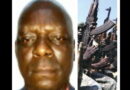 Insecurity and fifth columnists: Highly placed individuals fund kidnap for survival, politics – Rear Admiral Olisemelogor