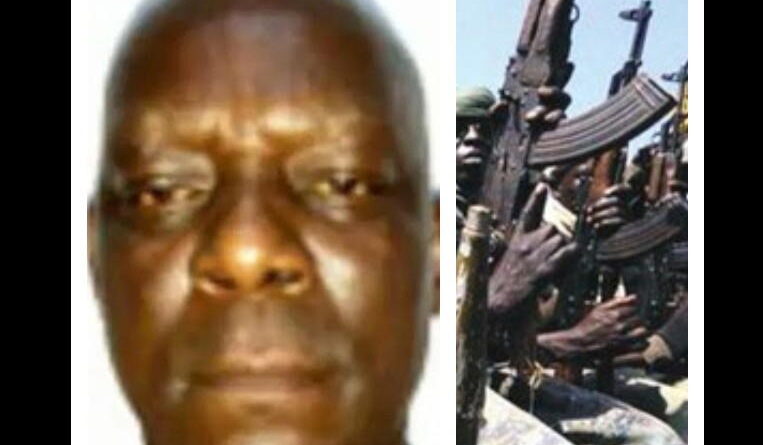 Insecurity and fifth columnists: Highly placed individuals fund kidnap for survival, politics – Rear Admiral Olisemelogor