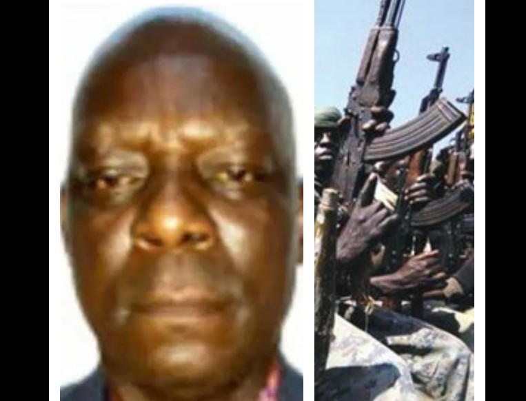 Insecurity and fifth columnists: Highly placed individuals fund kidnap for survival, politics – Rear Admiral Olisemelogor