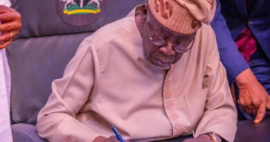 Tinubu approves 1,000 forest guards to strengthen security in Katsina