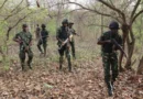 Troops rescue eight kidnap victims in Plateau forest operation