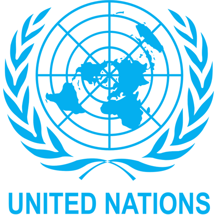 Iran executed 18 protesters in 2026 – United Nations