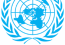 Violence against women declines from 9% to 5% in six years— UN Women