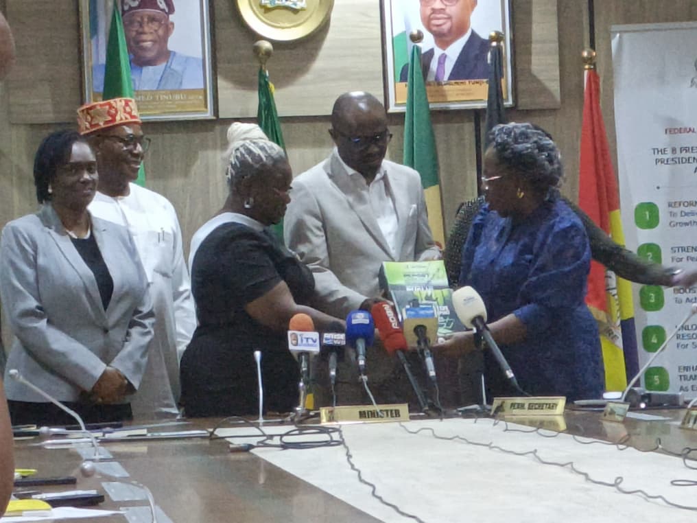 Recidivism: FG cuts repeat offenders from 11,600 to 1,300; as 15,632 jailed in May, 14,190 released