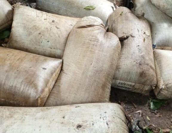 Navy recovers 92,660 litres of illegal diesel, disrupts oil theft network in Rivers