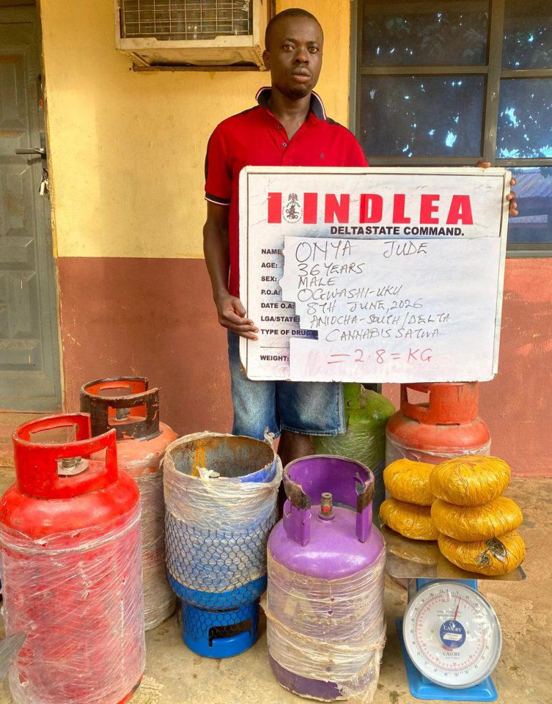 NDLEA arrests Brazil-based businessman, others in drug raids across states