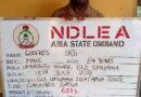 NDLEA arrests two grandfathers for selling drugs to secondary school students