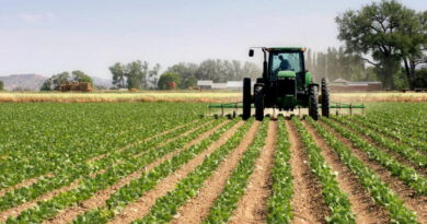 Agric sector records 3.15% growth in GDP to 11.87trn