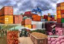Export rerouting erodes Nigeria’s gains despite N7.55trn trade surplus — NESG