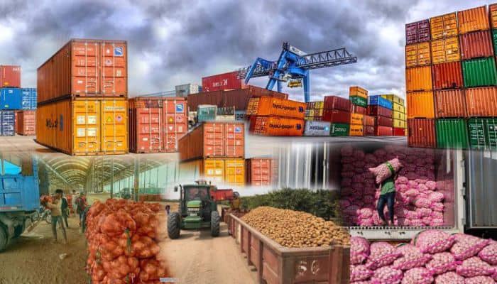 Export rerouting erodes Nigeria’s gains despite N7.55trn trade surplus — NESG