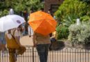 European countries close schools, cancel trains over heatwave
