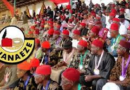 Ohanaeze Ndigbo amends constitution, calls for submissions