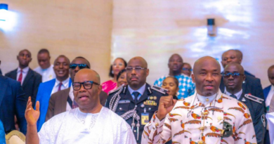 Democracy Day: Our Institutions Growing Stronger, Says Deputy Speaker Kalu