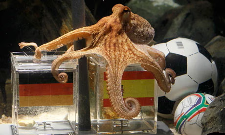 World Cup psychic animals: remembering Paul the octopus
