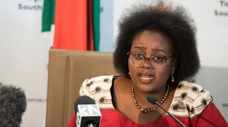 Xenophobia: ‘Our artistes’ shows are being cancelled across Africa’ — South African minister