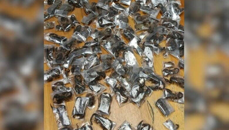 Police arrest man with 150 live venomous scorpions in luggage