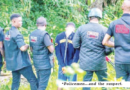 Harrowing escape after N11 million ransom turns murder in Edo forest