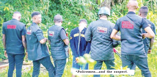 Harrowing escape after N11 million ransom turns murder in Edo forest