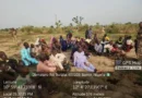 Troops rescue 53 hostages, foil terrorists’ attack in Borno