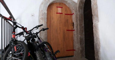 Couple taken into custody after remains of five babies found in home