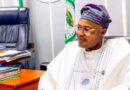 PFIPC: How fake agency got smuggled into budget — Adeniyi