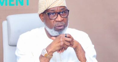 FG cracks down on illegal mining, arrests two suspects in Osun