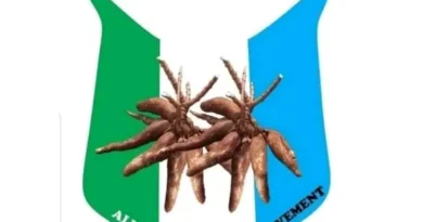 2027: APM opens talks with senators, Reps over defections