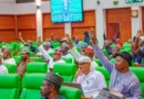 Reps Minority Caucus stage walks out of plenary, alleges due process breach in passage of Tinubu’s state police Bill